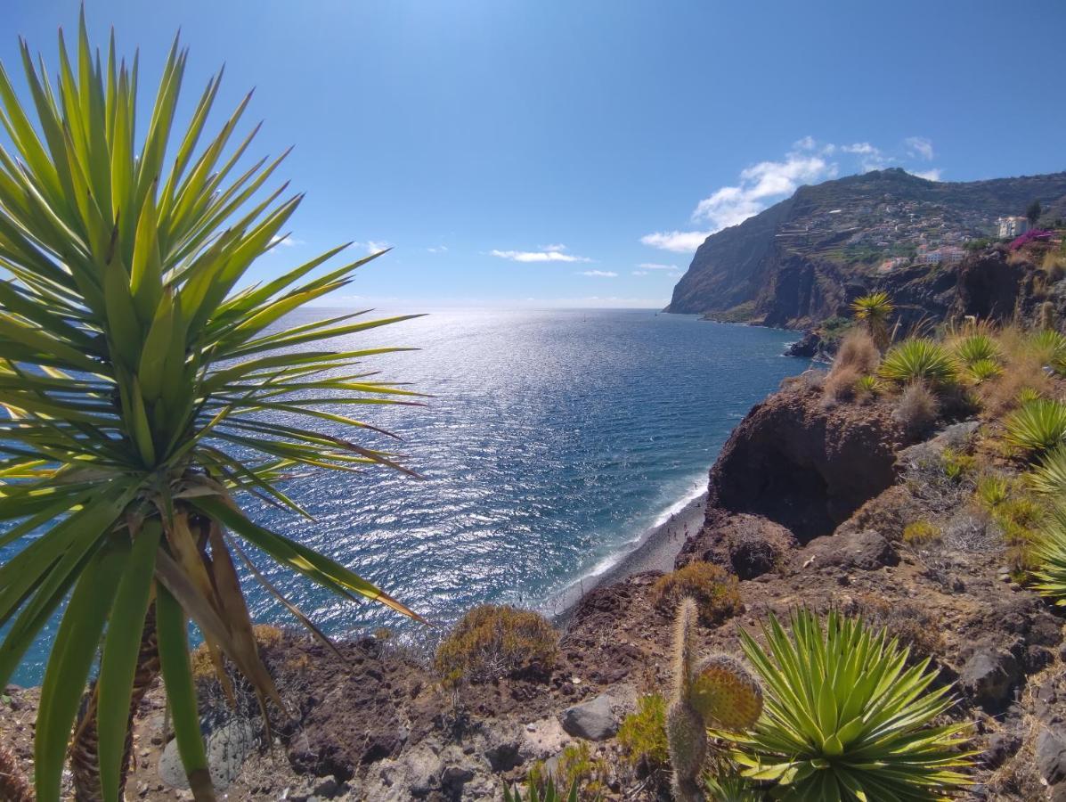 شقة Attic Bay Câmara de Lobos المظهر الخارجي الصورة